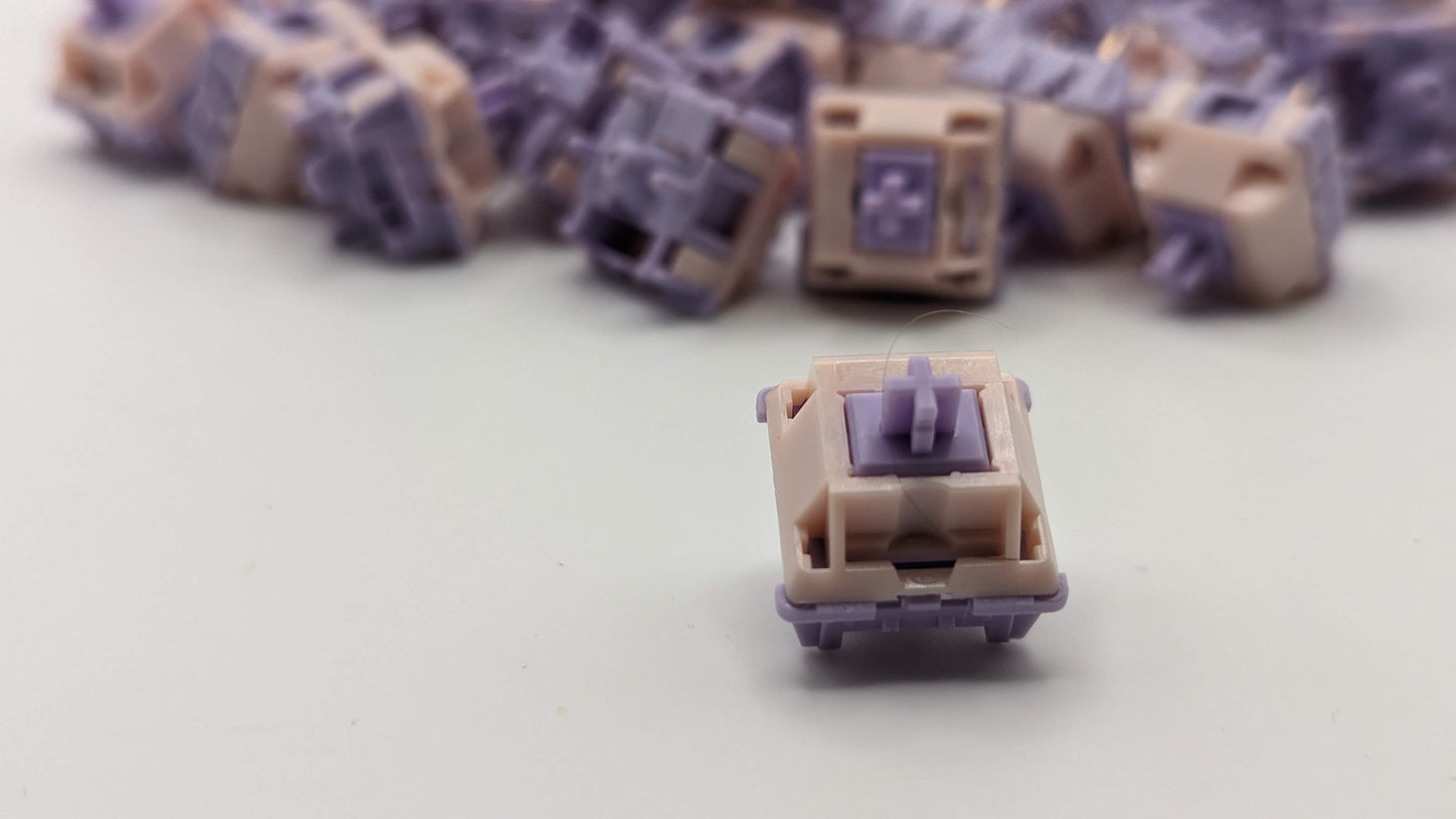 (100) Princess Linear Switches in *RAW* Kittko