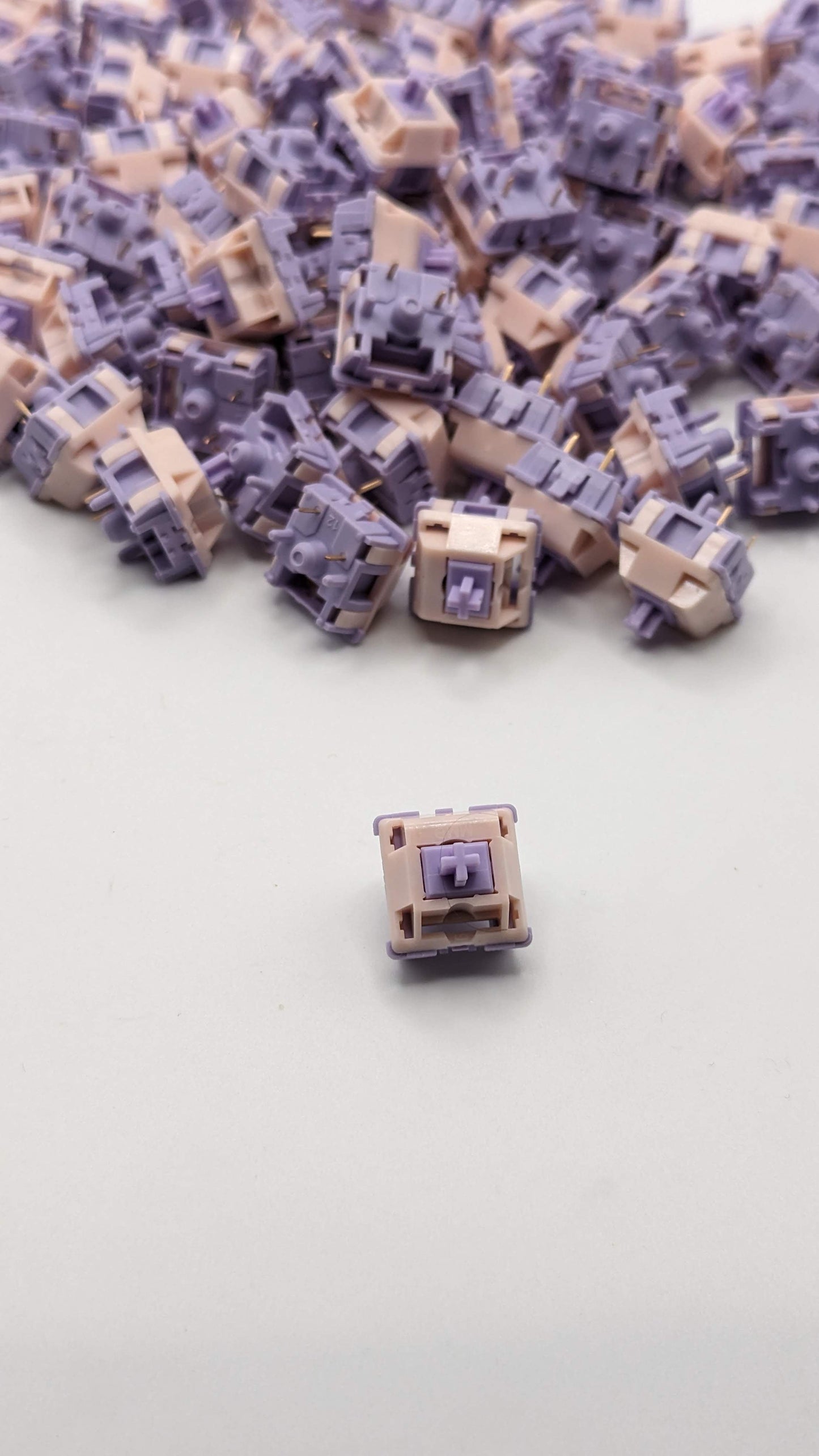 (100) Princess Linear Switches in *RAW* Kittko