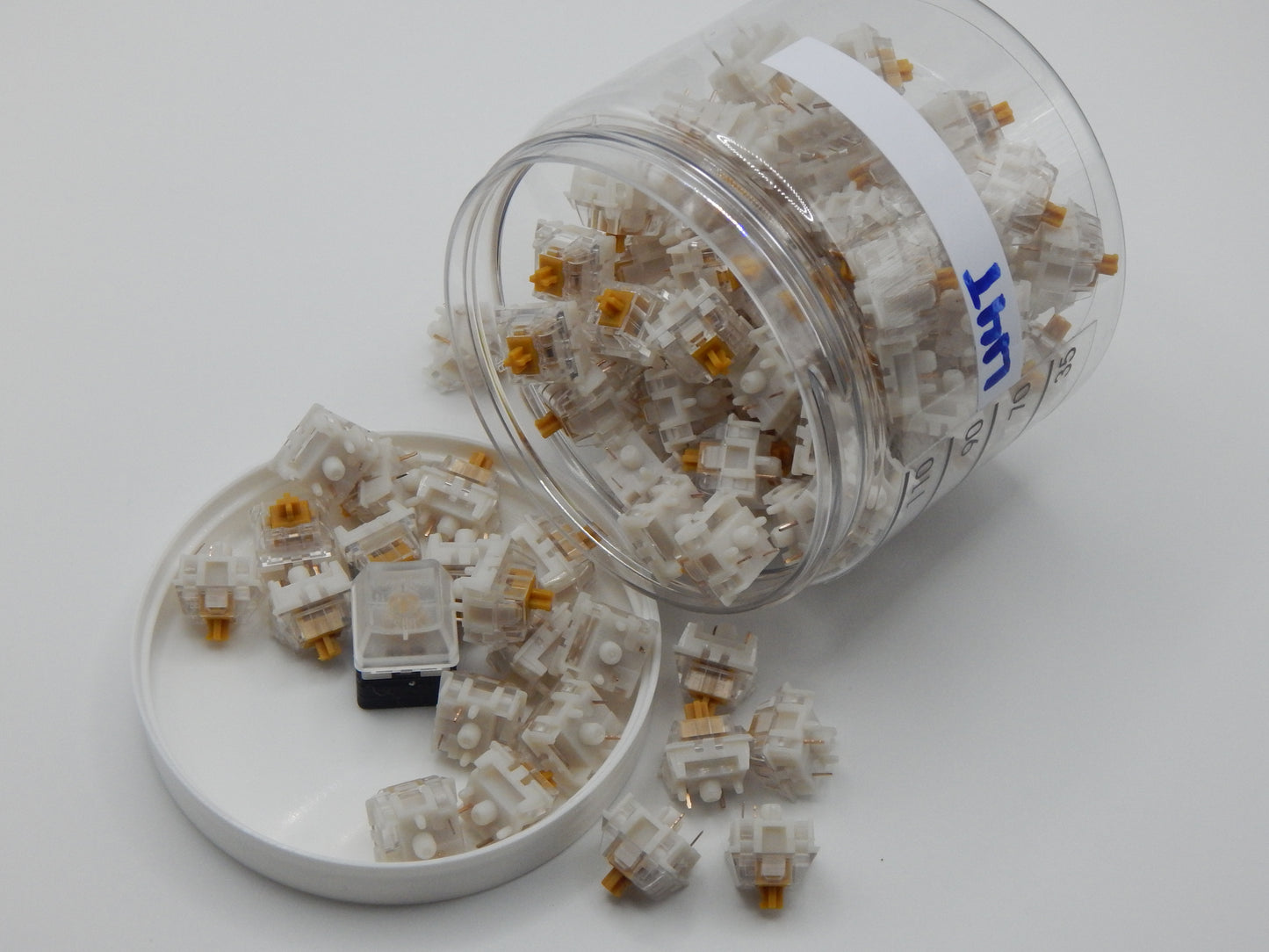 Gazzew U4T Thocky Tactile RGB Switch (65g)